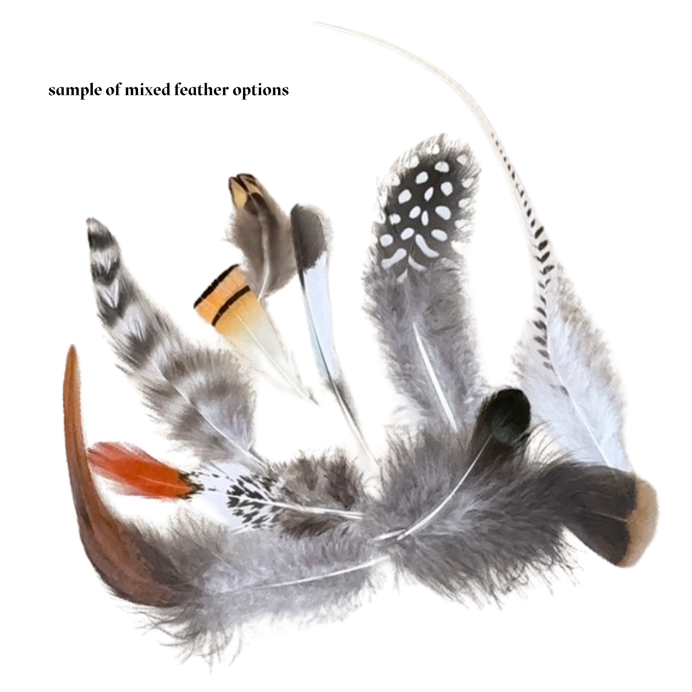 Feathers