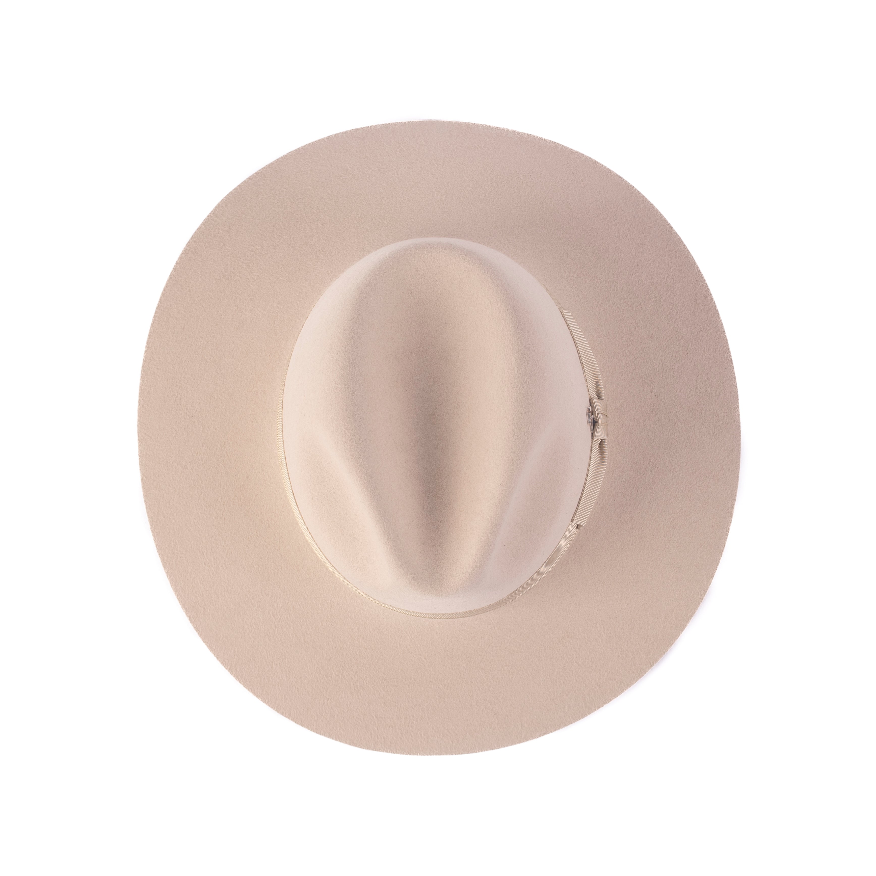 The Florence Sandstone