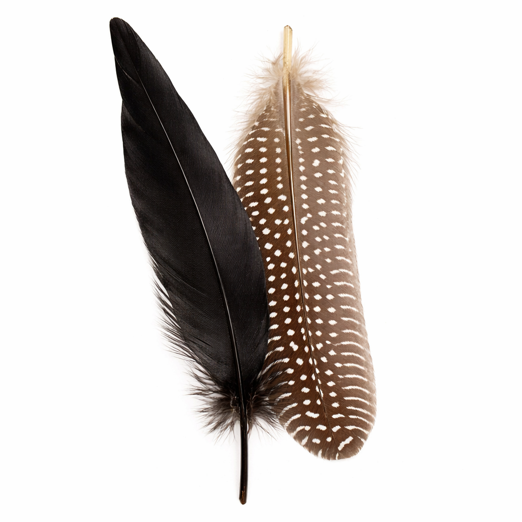 Feathers