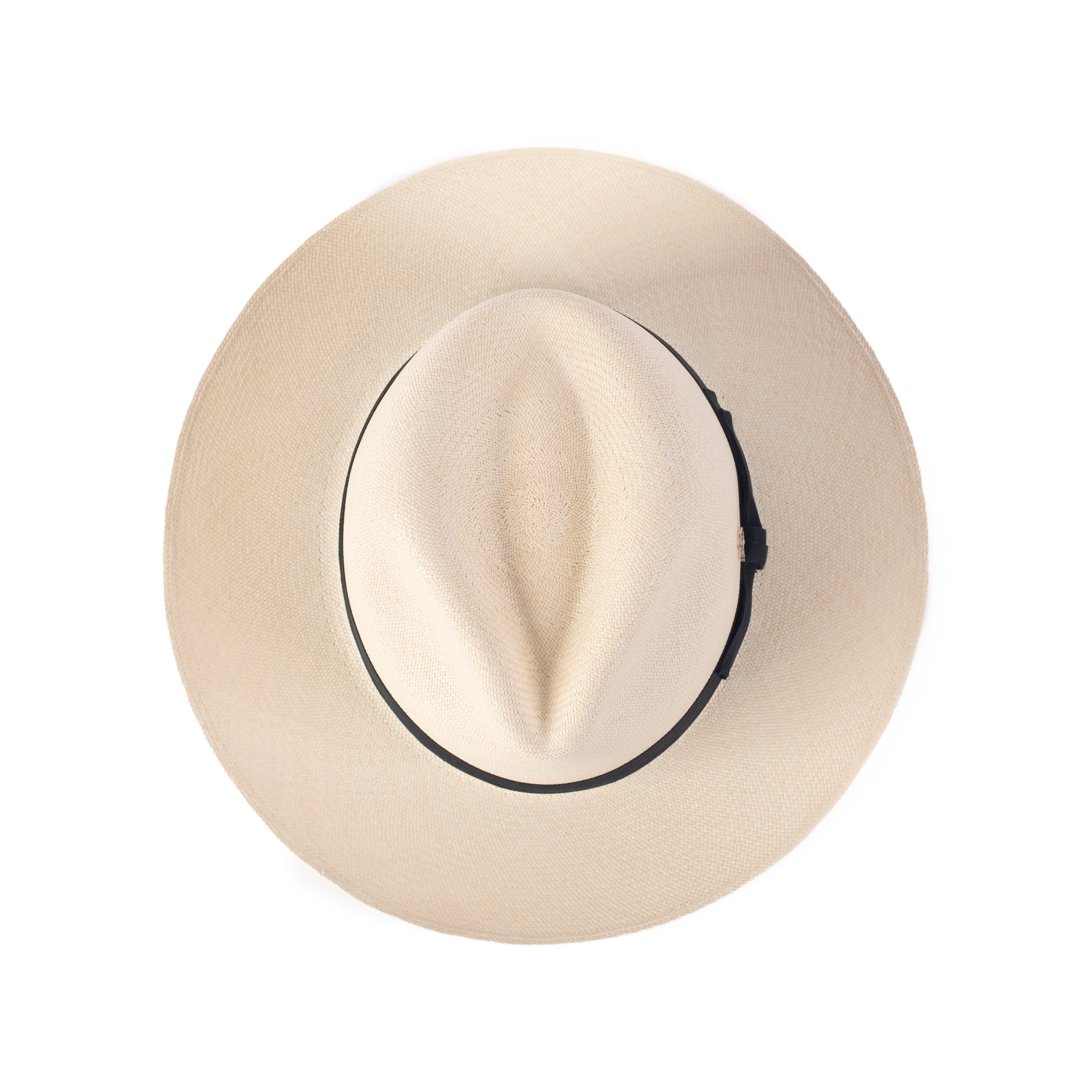 The Panama