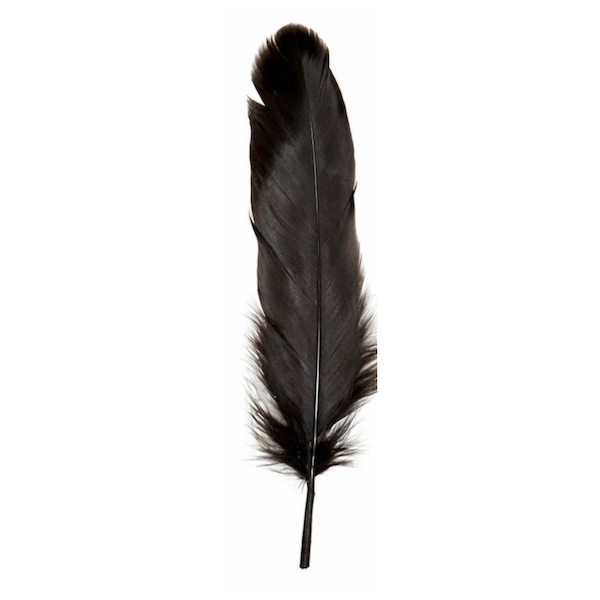 Feathers