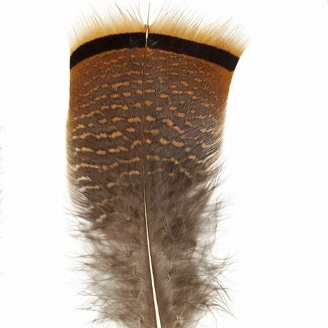 Feathers