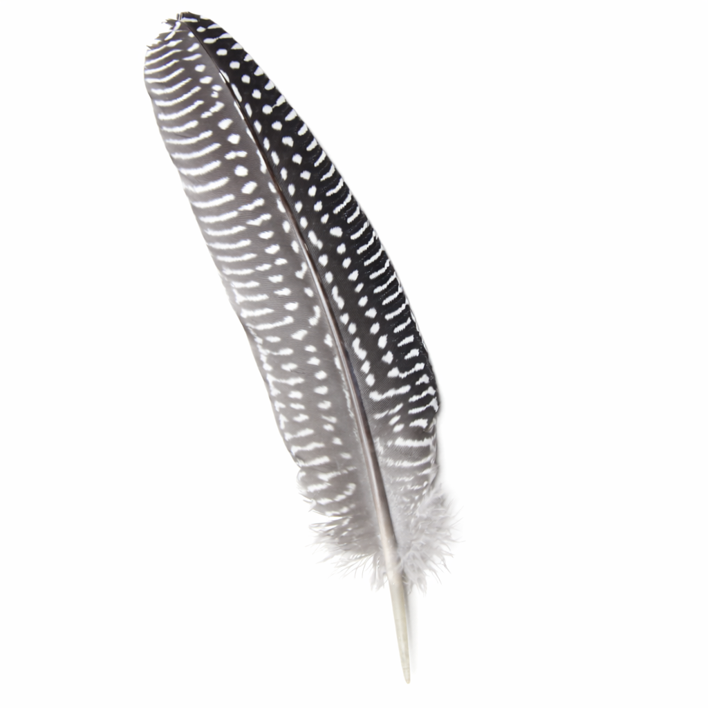 Feathers