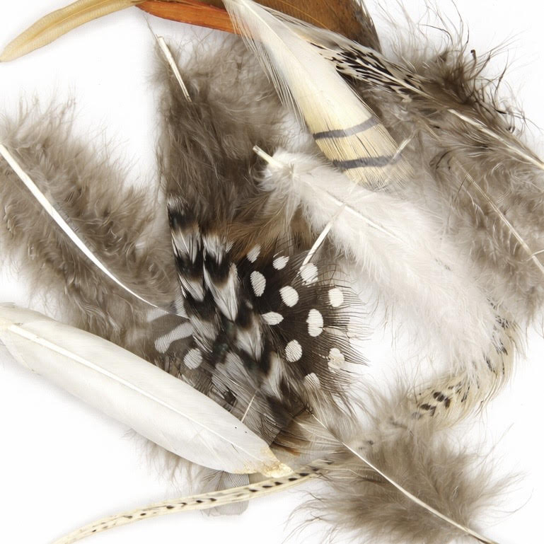 Feathers